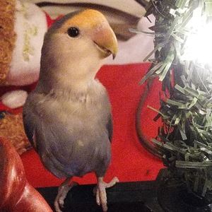 Meet your Posher, Katy